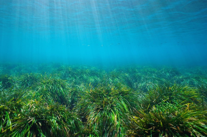 rutas en yate por cabo de gata, paseos en barco por cabo de gata, almerimar, paseos en barco, paseos en barco por almeria