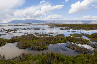 rutas en yate por cabo de gata, paseos en barco por cabo de gata, almerimar, paseos en barco, paseos en barco por almeria